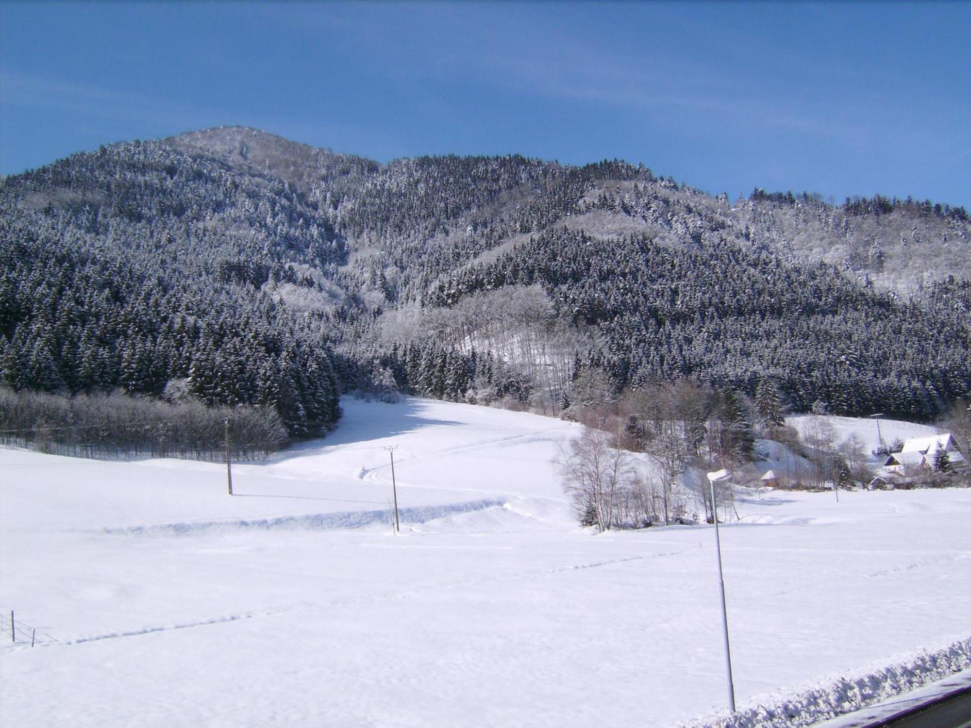 Gasthaus Zur Erle Simonswald Dış mekan fotoğraf