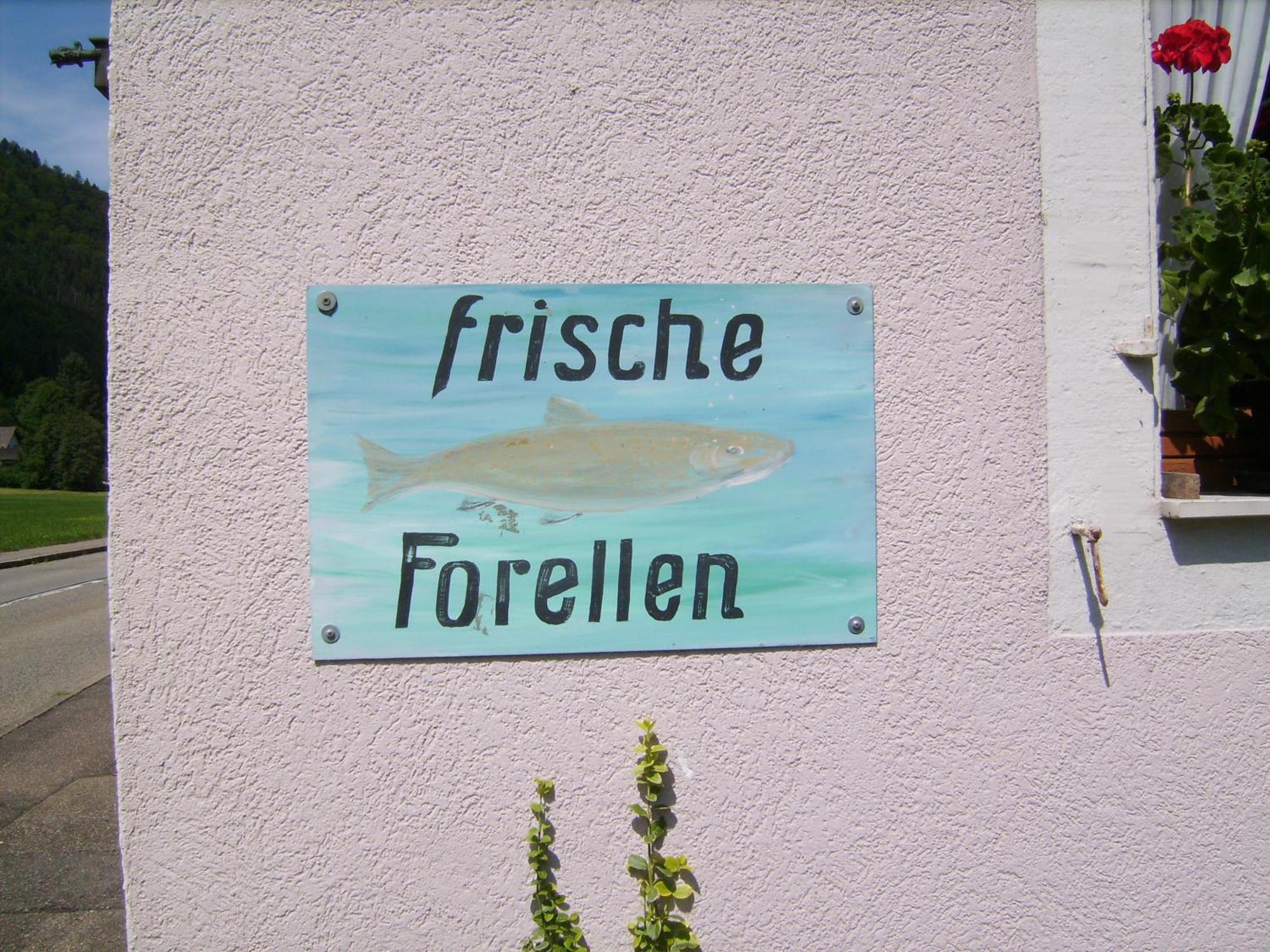 Gasthaus Zur Erle Simonswald Dış mekan fotoğraf